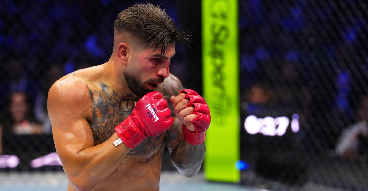 Illustration MMA - Ilia Topuria prêt à revenir sur le devant de la scène
